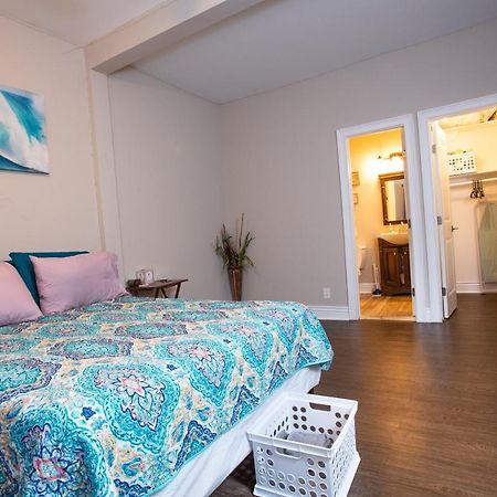 Апартаменти Cozy Studio In The Downtown/Montrose Area Х'юстон Екстер'єр фото